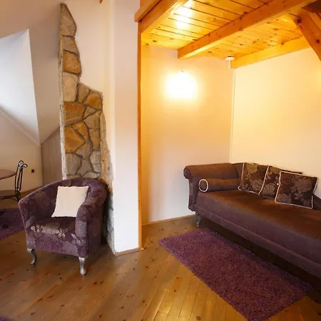 Vila Trag Kopaonik