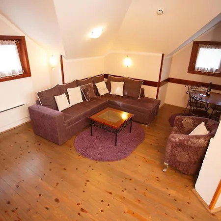 Vila Trag Apartment Kopaonik