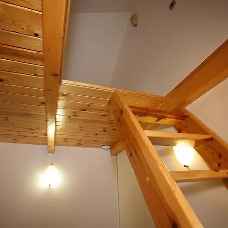 Apartment Vila Trag *