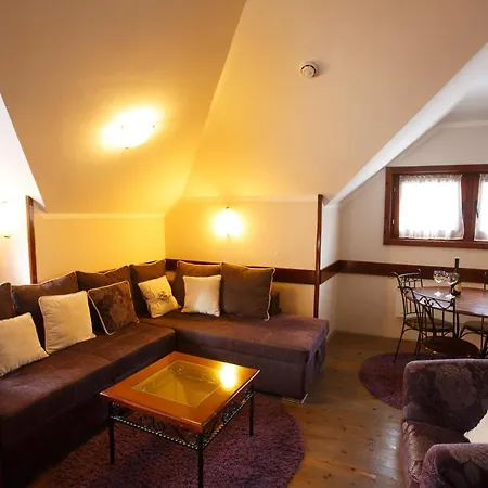 Vila Trag * Kopaonik