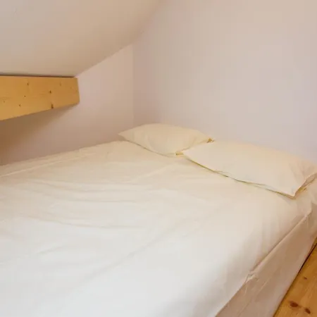 Apartment Vila Trag *