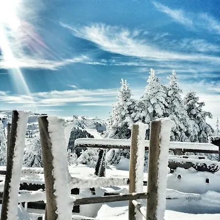 Trag Apartament Kopaonik